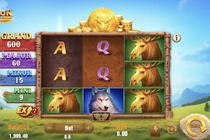 Bison Fortune Coins