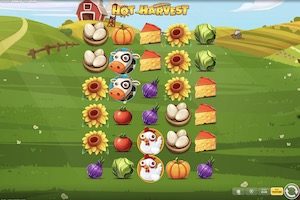 Hot Harvest