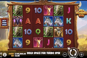 Wild Wildebeest Wins